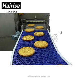 Hairise FDA 냉각 벨트 컨베이어 기계 토스트 공장