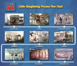 ฮาลาลโคเชอร์วัวฆ่ากล่องหมุนการทำงานร่วมกับระบบไฮดรอลิสำหรับวัวโรงฆ่าสัตว์ - Product Image 4