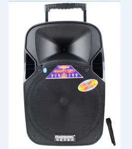 2019 HOT SELLING TEMEISHENG 12 INCH PLASTIC ACTIVE TROLLEY SPEAKER MADE IN CHINA