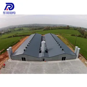 Free Design Poultry Chicken Steel Farm Building Poultry House For 10000 Chickens