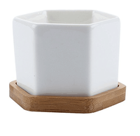 Pot tanaman kaktus Dolomite keramik putih, dengan nampan bambu ramah lingkungan berlapis krom gantung Pot bunga Modern