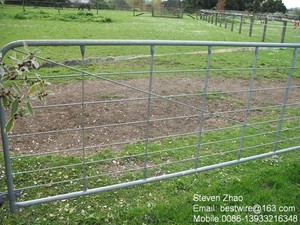 Trung Thực Và Trực Tiếp Nhà Sản Xuất Trong Dinzhou/Thép Mạ Kẽm Trang Trại Gates - Product Image 6