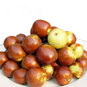 Sinocharm High Quality IQF Winter <strong>Jujube</strong>