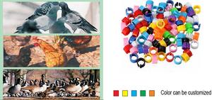 Anneau de pattes de poulet RFID LF EM4305 Tag S256, anneaux électroniques pour pigeons de course, anneaux de pattes de <span class=keywords><strong>pigeon</strong></span> en plastique, accessoires pour colombier - Product Image 6
