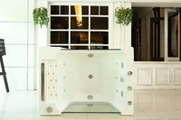 Baignoire de spa pour bébé en acrylique moderne portable Offre Spéciale Bain autoportant écologique avec conception graphique de massage