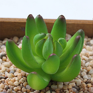 Cây Xương Rồng Giả Nhỏ, Trang Trí Nhà Cửa, Vườn Tường Trong Nhà, DIY, Cây Giả, Mọng Nước Nhân Tạo - Product Image 2