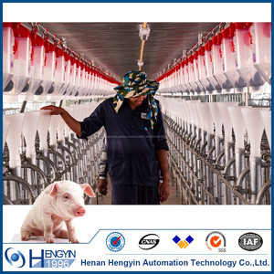 La fábrica de China para la venta sistema de suministro de alimentación automática para la cría de cerdos - Product Image 1