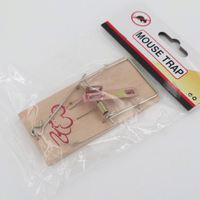 Piège à souris en bois à double ressort, intelligent, entièrement automatique, en plastique, piège à rats, station d'appât pour rongeurs, prix compétitif