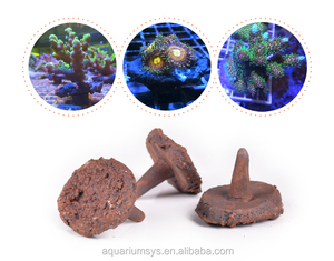 ASFD-T/S A.S. Fraggie <span class=keywords><strong>Holic</strong></span> Coral Frag Disc Material Filtrante para Bacterias con Base de Cerámica Gran Promoción Reef Plug Bolsas a Granel - Product Image 3