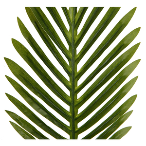Hot Sales Design Palm <strong>Leaves</strong> 34*18cm Decorative Artificial <strong>Leaves</strong> <strong>Wall</strong> <strong>Decor</strong> - Product Image 4