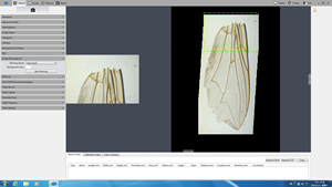 Eileoc — <span class=keywords><strong>Microscope</strong></span> biologique <span class=keywords><strong>USB</strong></span> 20 mp, couture d'images Live, caméra edc, commande par PC, hôpital, étudiant, écran trinoculaire de 1 pouce, <span class=keywords><strong>USB</strong></span> 20 Mega pixels - Product Image 3