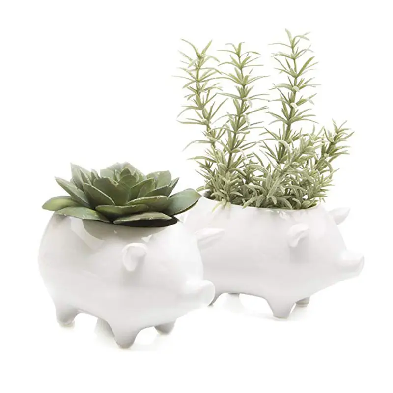 Pig Shape Ceramic Succulent and Cactus Planter Pot Garden and Home Decor Flower Pot