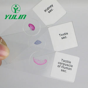 Bowel the frog T.S. chemical supplies Labware glass zoology slides for teaching - Product Image 2