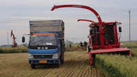 Prix de la mini moissonneuse-batteuse à ensilage 9QZ-2400, machine à couper le blé