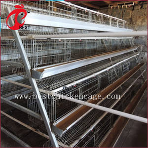 Venta caliente malla de alambre soldado con autógena batería capa de granja para sri lanka aves de caza jaula de pollo con gran precio - Product Image 2