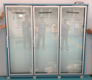 Partes del refrigerador con puerta de vidrio para la exhibición