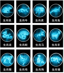 Leer Legering Drukknoop 12 Sieraden Chinese Zodiac Armband ZU003