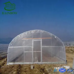 Top qualiChina 聚乙烯薄膜隧道单跨农业温室