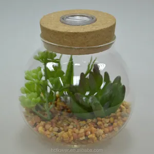 Прозрачная стеклянная бутылка мини-суккулентные тропические растения со светодиодной подсветкой