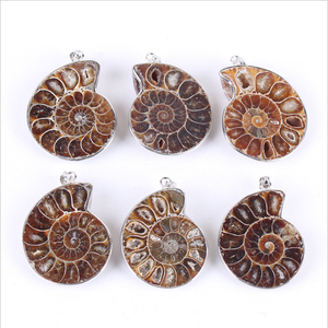 Colgante de conchas de amonita, abalorios de ágata para fabricación de collares, joyería al por mayor - Product Image 5