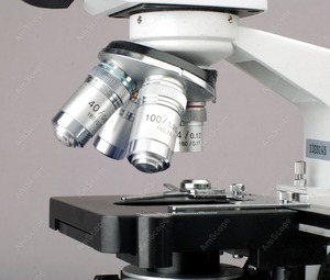 40X-2500X LED Digital Binocular Compound <strong>Microscope</strong> w 3D Stage + 5MP <strong>USB</strong> Camera
