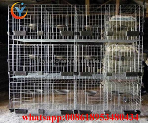 Yarış güvercin üreme kafesi satılık Güvercin Ev Tasarımı - Product Image 1