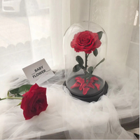 Grosir Beauty And The Beast Rose Bunga Mawar Diawetkan Nyata Dalam Kubah Kaca dengan Kotak Hadiah Mewah