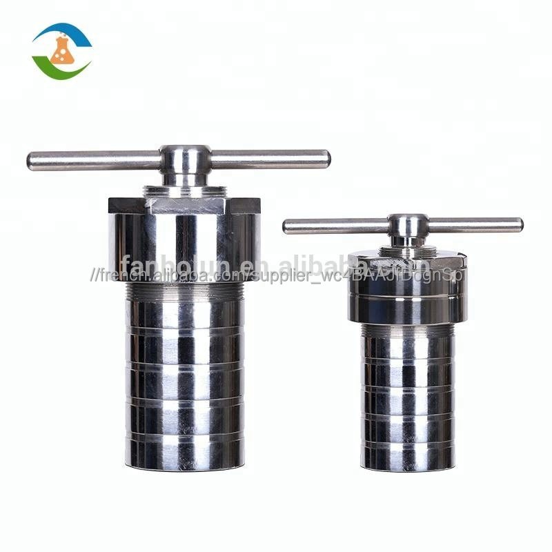 Téflon Hydrothermale Synthèse Autoclave Réacteur
