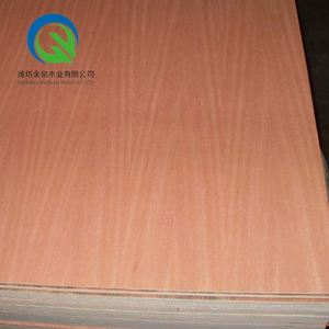 18mm completo Álamo pegamento wbp núcleo comercial de embalaje <span class=keywords><strong>madera</strong></span> de vietnam - Product Image 3