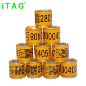 Duif Ring Factory Prijs België Duif Ring Voor Duif Info - Product Image 3