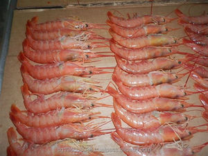 KOSHER-llave caliente de mar para Camarón, estante de peso de embalaje de buena calidad, de estilo a granel, ideal para camarones rojos y marinos - Product Image 6