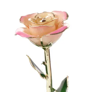 Hot Sale Gold Trimmed Rose Flower Girlfriend Gift 24k Gold Plated Natural Rose For Valentine's Day Mother's Day Gifts