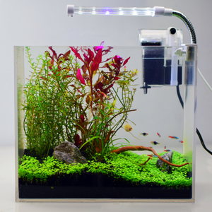 Mini Acuario de Escritorio de Acrílico Transparente <span class=keywords><strong>con</strong></span> Luz LED y Filtro para <span class=keywords><strong>Peces</strong></span> Betta - Product Image 3