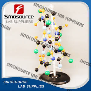 Équipement éducatif Structure D'ADN Modèle Modèle Biologique - Product Image 2