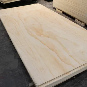 Placa de madeira placa para móveis de pinha, folhas de 12mm 15mm 18mm