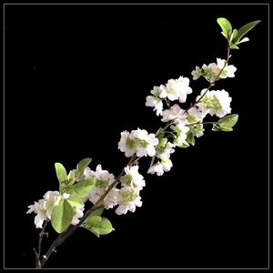Di vendita caldo Artificiale Cherry <span class=keywords><strong>Blossom</strong></span> <span class=keywords><strong>sakura</strong></span> con ottimo prezzo - Product Image 3