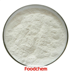 E405 Propilen Glikol Alginat PGA - Product Image 1