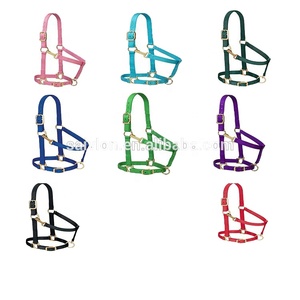 Cordas do cavalo e cabeçada para o equipamento do cavalo - Product Image 4