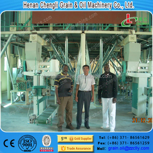 เครื่องบดข้าวโพด50ตันต่อวัน - Product Image 4