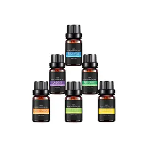 Top 6 Essential Lavender Duftöle Liquid Home Lufter frischer für Diffusoren und Kerzen Stocked Geschenkset