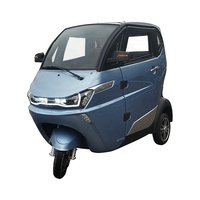 Voiture électrique à trois roues pour adultes, véhicule à cabine électrique coupé d'occasion avec certificat CEE