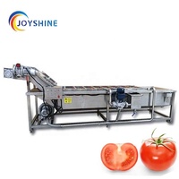 Automatische transportband industriële toepassing 2000kg/u fruit- en groentewasmachine