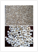 Vente chaude grand débit d'air machine de soufflage de bouffée de maïs et de riz de haute qualité fabriqué en Chine