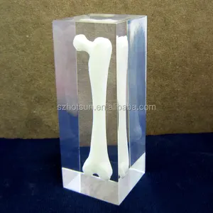 acrylic clear solid cube with objects inside