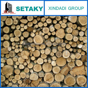 <span class=keywords><strong>SMA</strong></span> 급료 목제 셀루로스 섬유를 위한 셀루로스 섬유 - Product Image 2