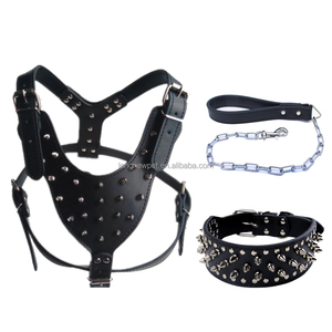 Bezaaid Lederen Harnas Hond Kraag en Leash Set