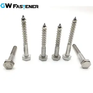2 Headed Screws ASTM 18-8 Stainless Steel 304 A2 Stainless Steel 316 A4 Hex Head Lag Screw Coach Screw Lag Bolt