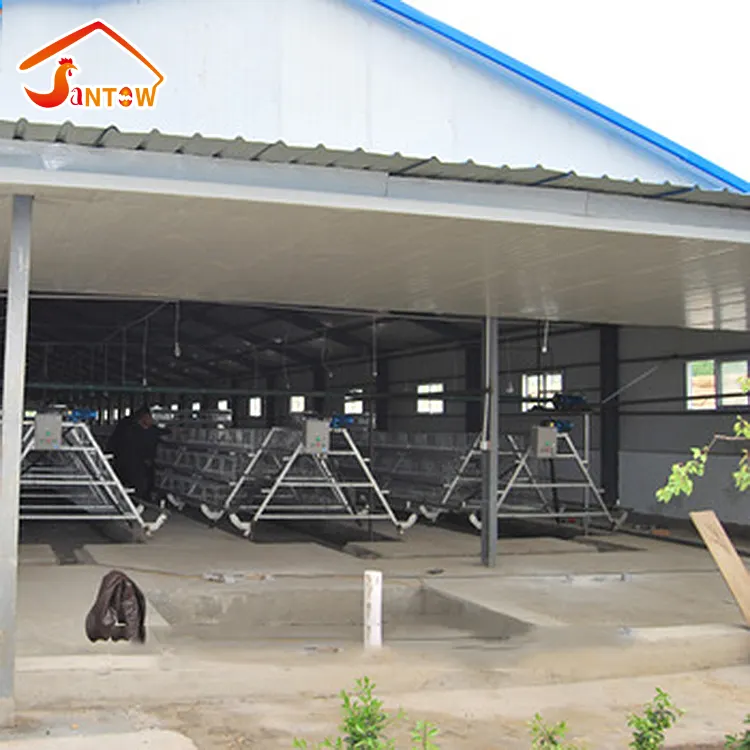 Full automatic feeding and drinking system A type egg chicken cage/chicken layer cage price
