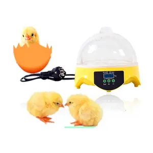 Meilleur prix Mini incubateurs d'oeufs d'oie de canard de poulet numérique entièrement automatique solaire 7 Machine à couver à vendre