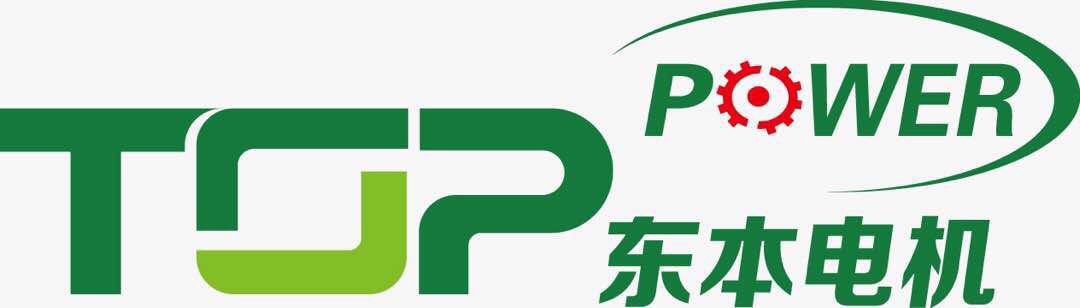 Changzhou Toppower Drive Techniques Co.,Ltd